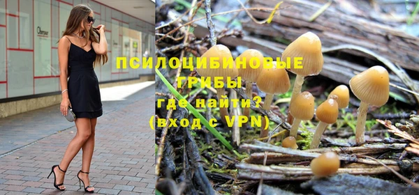 молекула духа Арсеньев
