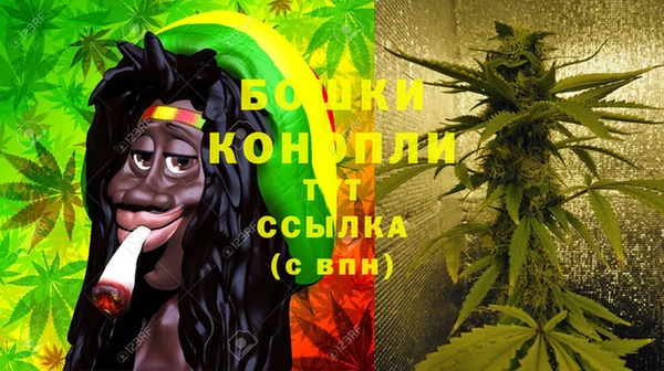 молекула духа Арсеньев