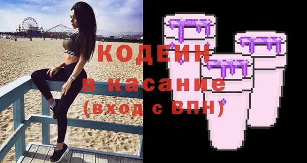 молекула духа Арсеньев