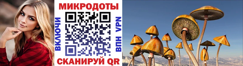 Псилоцибиновые грибы MAGIC MUSHROOMS  Кукмор 