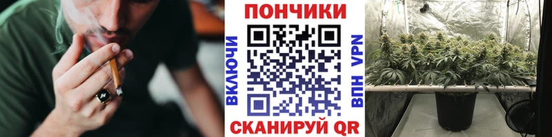МЕГА зеркало  Кукмор  Шишки марихуана ГИДРОПОН 